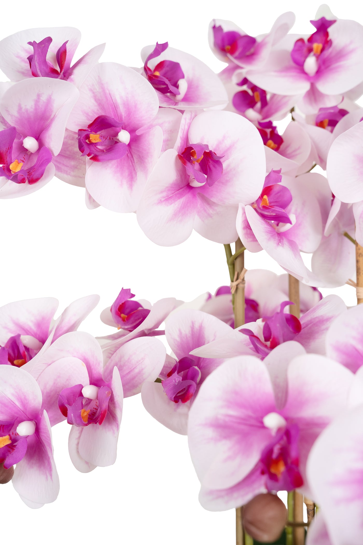 Orhidee artificiala alb cu roz cu aspect natural H66 cm cu 7 tulpini