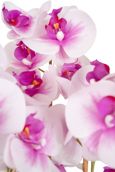 Orhidee artificiala alb cu roz cu aspect natural H66 cm cu 7 tulpini