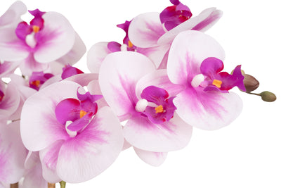 Orhidee artificiala alb cu roz cu aspect natural H66 cm cu 7 tulpini