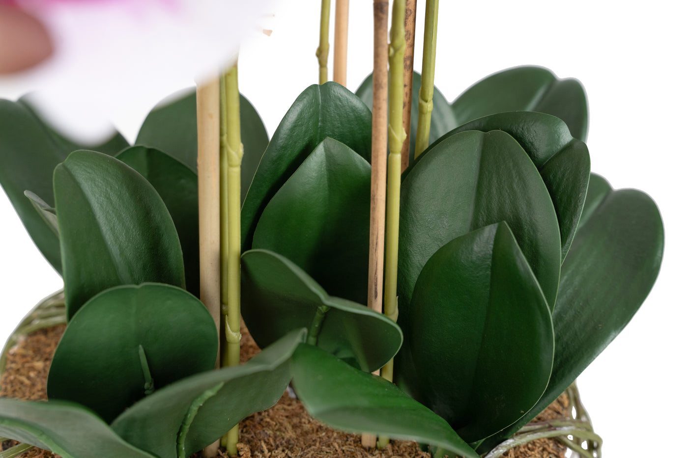 Orhidee artificiala alb cu roz cu aspect natural H66 cm cu 7 tulpini