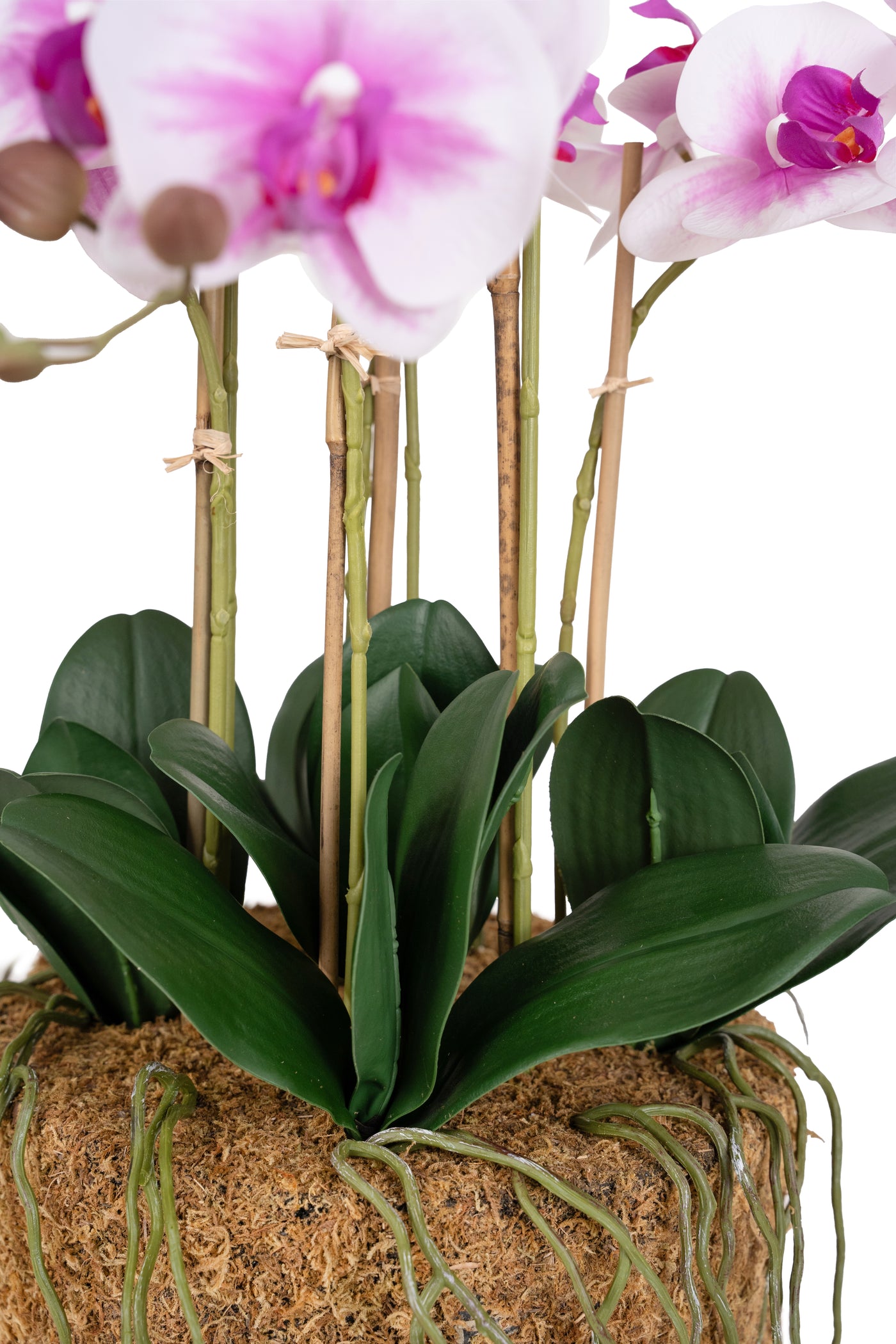 Orhidee artificiala alb cu roz cu aspect natural H66 cm cu 7 tulpini