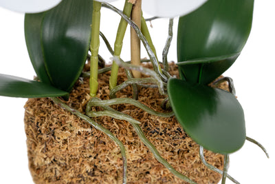 Orhidee artificiala alba cu aspect natural H35 cm cu 3 tulpini