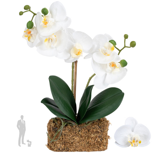 Orhidee artificiala alba cu aspect natural H36 cm cu 2 tulpini