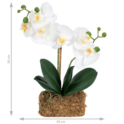 Orhidee artificiala alba cu aspect natural H36 cm cu 2 tulpini