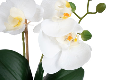 Orhidee artificiala alba cu aspect natural H36 cm cu 2 tulpini