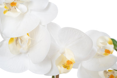 Orhidee artificiala alba cu aspect natural H36 cm cu 2 tulpini