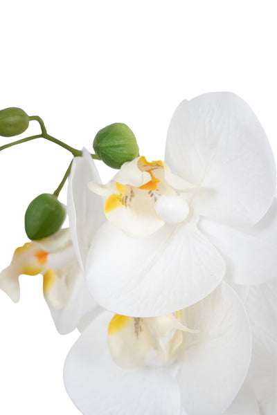 Orhidee artificiala alba cu aspect natural H36 cm cu 2 tulpini