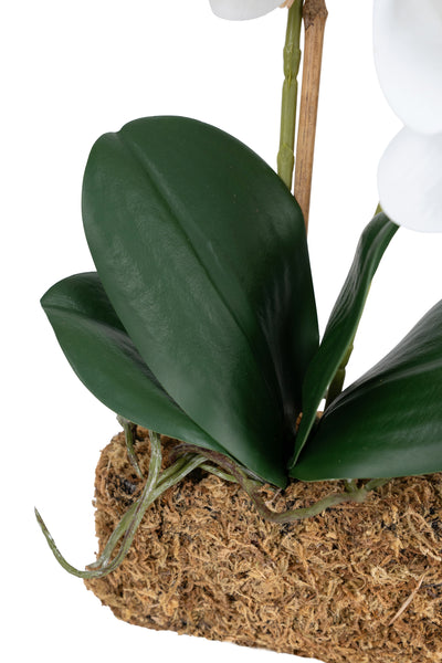 Orhidee artificiala alba cu aspect natural H36 cm cu 2 tulpini