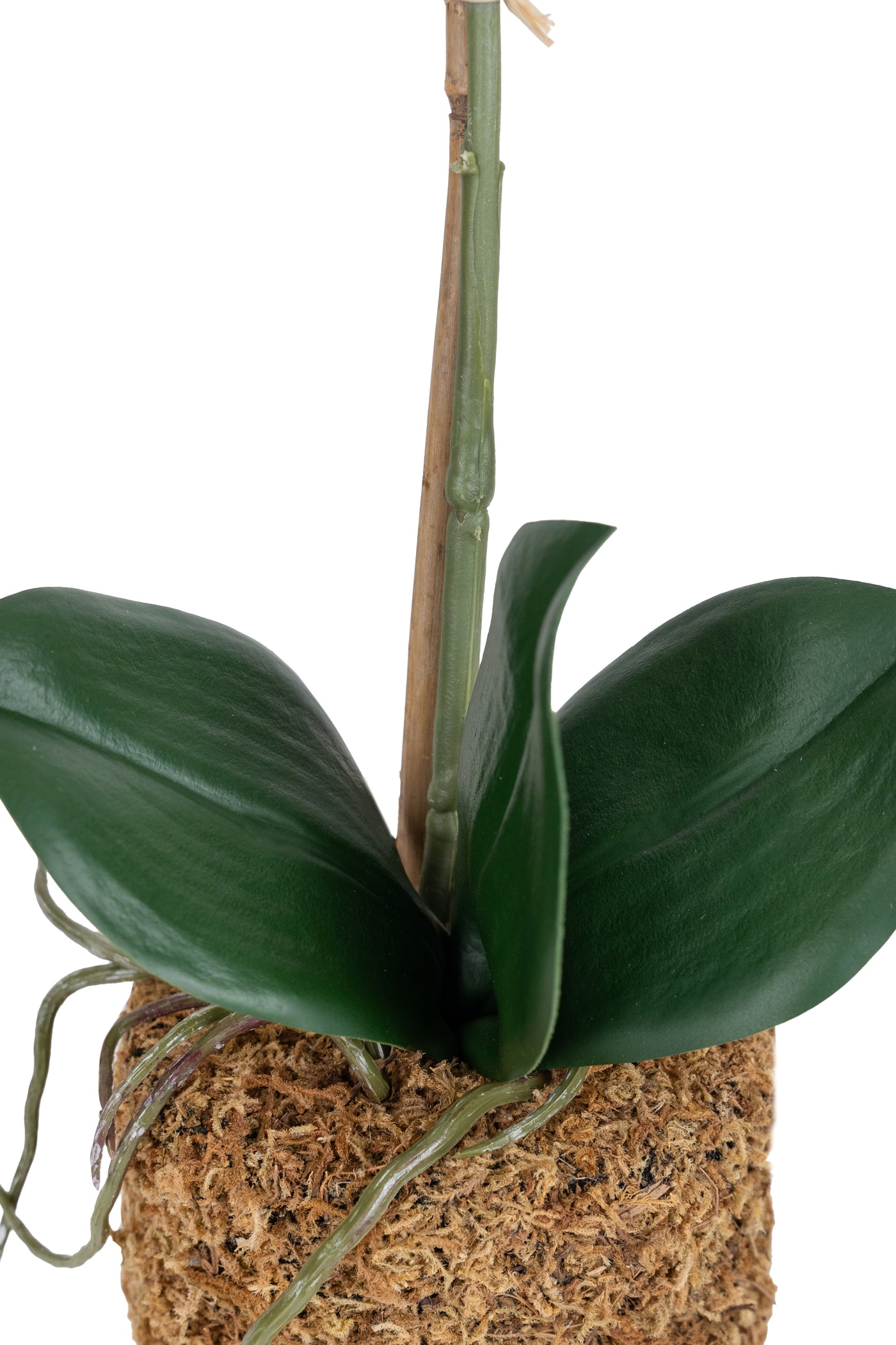 Orhidee artificiala alba cu aspect natural H43 cm cu 1 tulpina