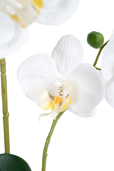 Orhidee artificiala alba cu aspect natural H46 cm cu 2 tulpini