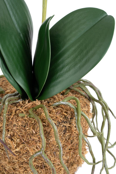 Orhidee artificiala alba cu aspect natural H46 cm cu 2 tulpini