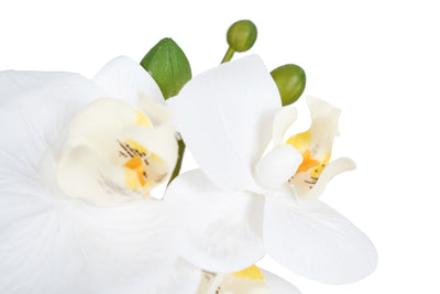 Orhidee artificiala alba cu aspect natural H46 cm cu 2 tulpini