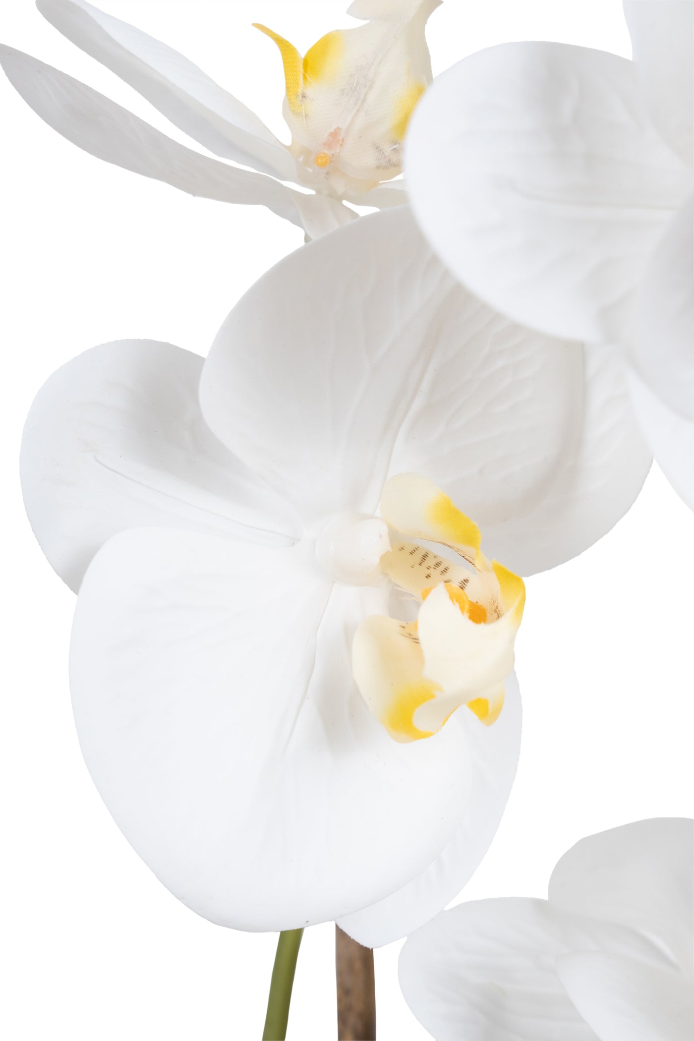 Orhidee artificiala alba cu aspect natural H46 cm cu 2 tulpini