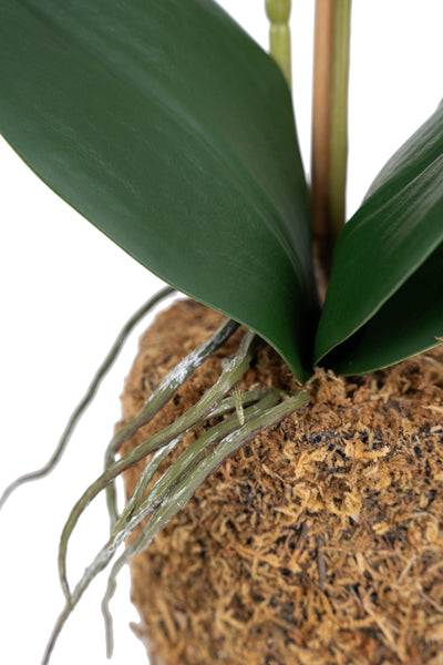 Orhidee artificiala alba cu aspect natural H46 cm cu 2 tulpini