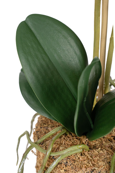 Orhidee artificiala alba cu aspect natural H51 cm cu 2 tulpini