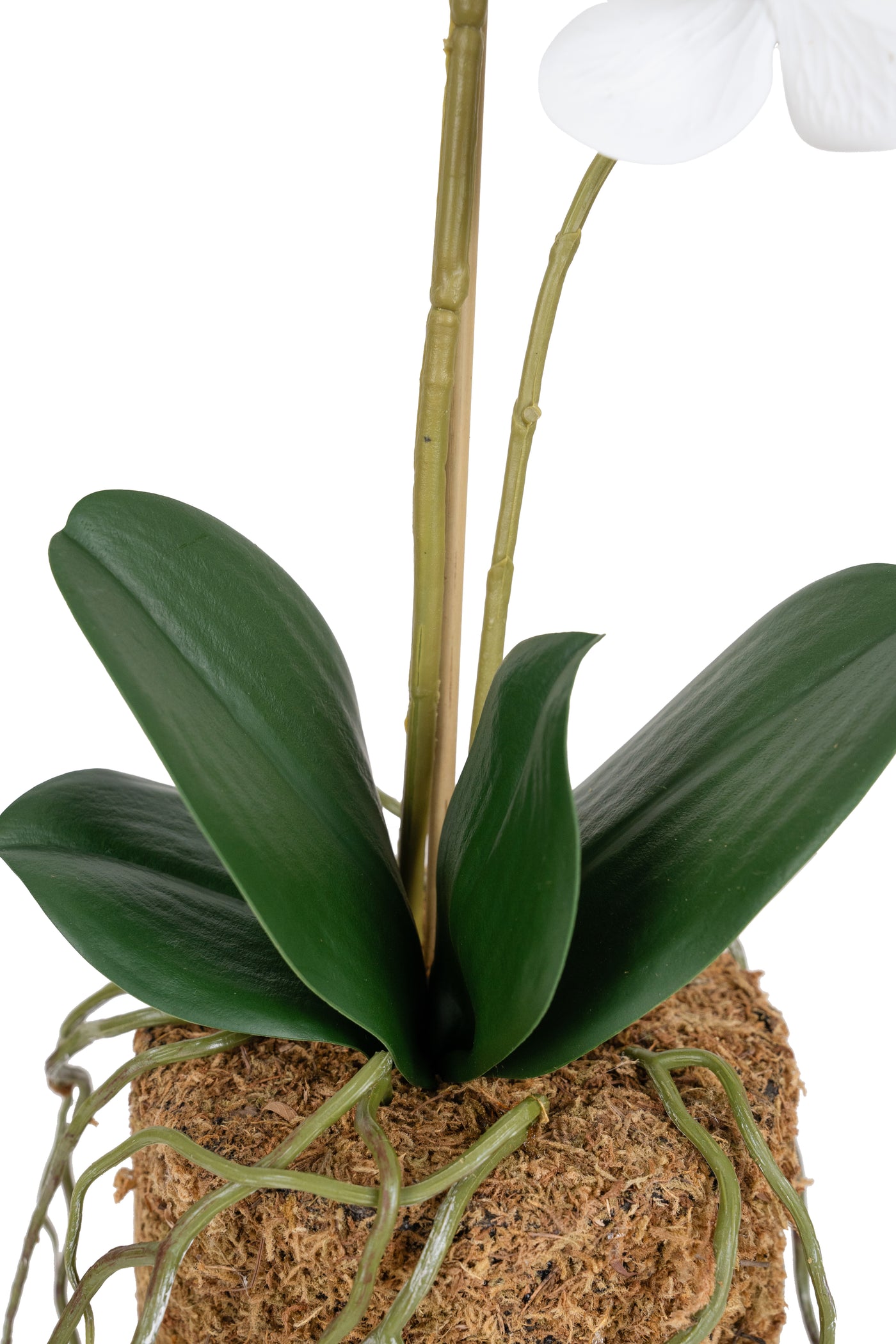 Orhidee artificiala alba cu aspect natural H51 cm cu 2 tulpini