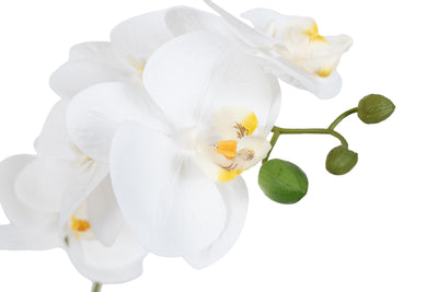 Orhidee artificiala alba cu aspect natural H51 cm cu 2 tulpini