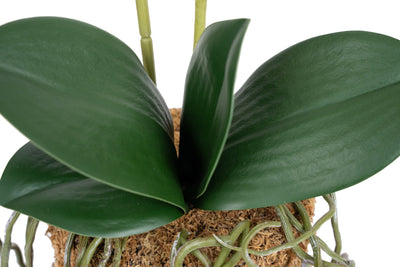 Orhidee artificiala alba cu aspect natural H51 cm cu 2 tulpini