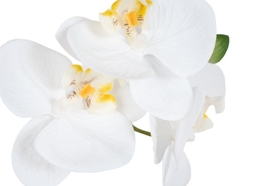 Orhidee artificiala alba cu aspect natural H51 cm cu 2 tulpini
