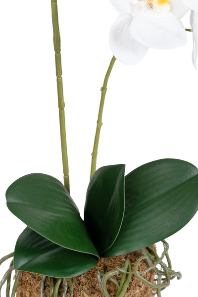 Orhidee artificiala alba cu aspect natural H51 cm cu 2 tulpini