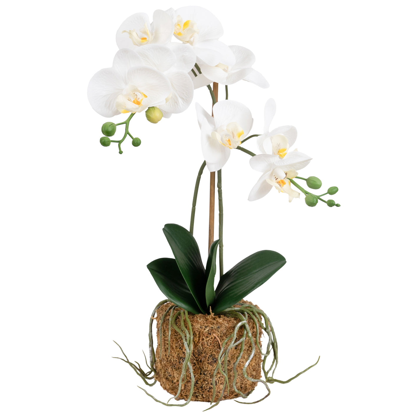 Orhidee artificiala alba cu aspect natural H52 cm cu 2 tulpini