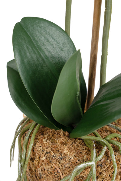 Orhidee artificiala alba cu aspect natural H52 cm cu 2 tulpini