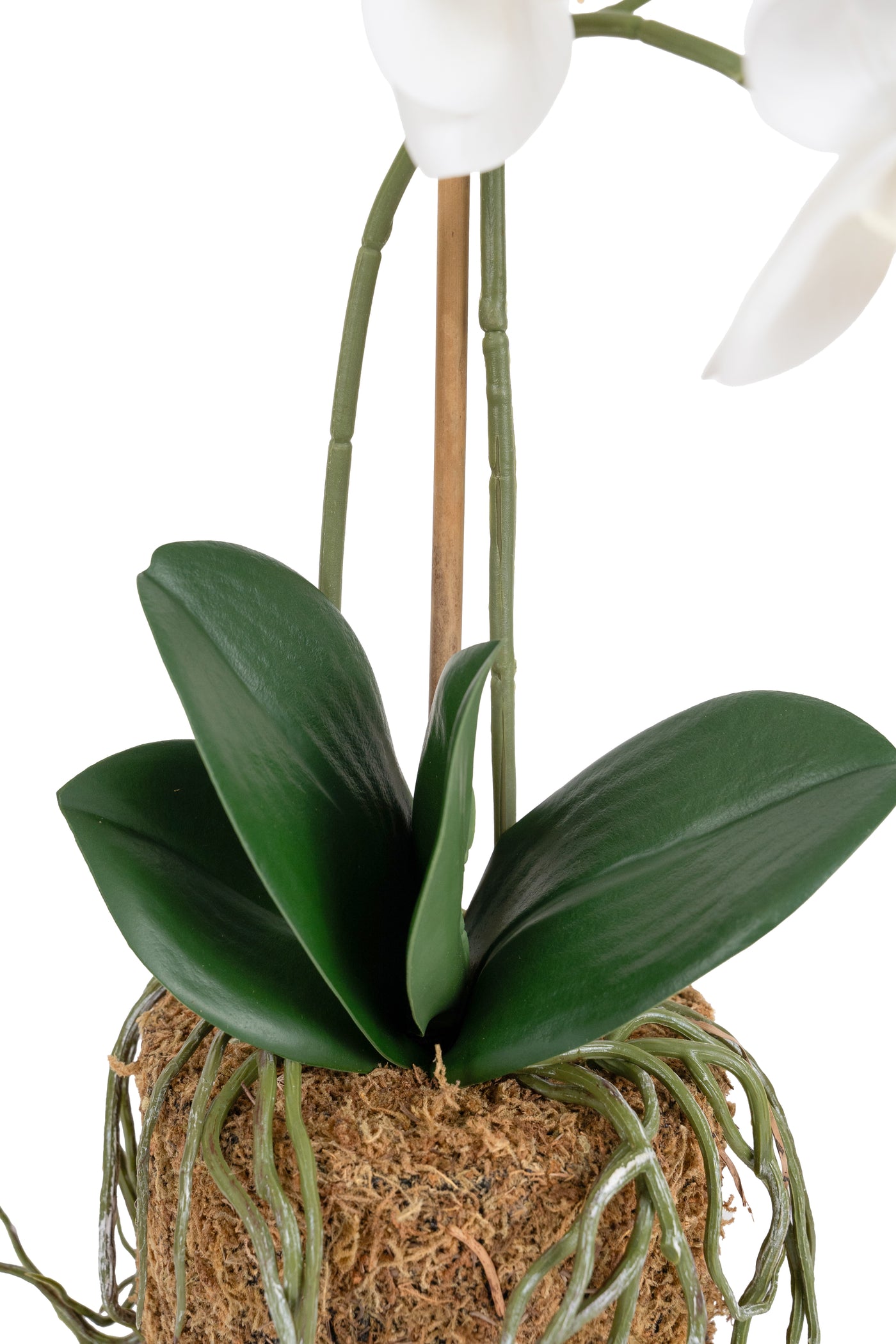 Orhidee artificiala alba cu aspect natural H52 cm cu 2 tulpini