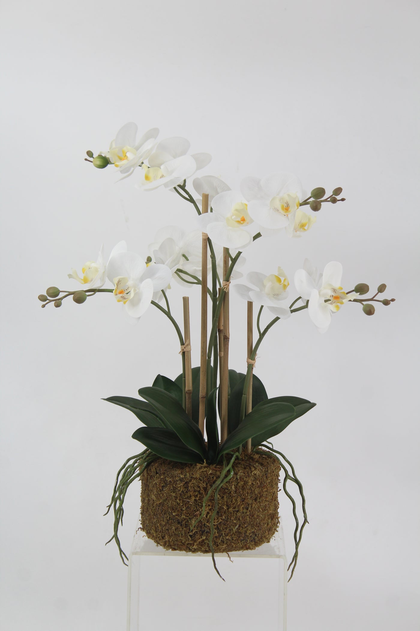 Orhidee artificiala alba cu aspect natural H52 cm cu 5 tulpini