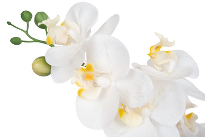 Orhidee artificiala alba cu aspect natural H52 cm cu 5 tulpini