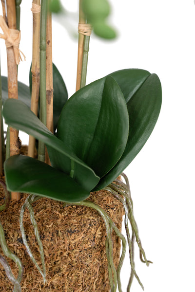 Orhidee artificiala alba cu aspect natural H52 cm cu 5 tulpini