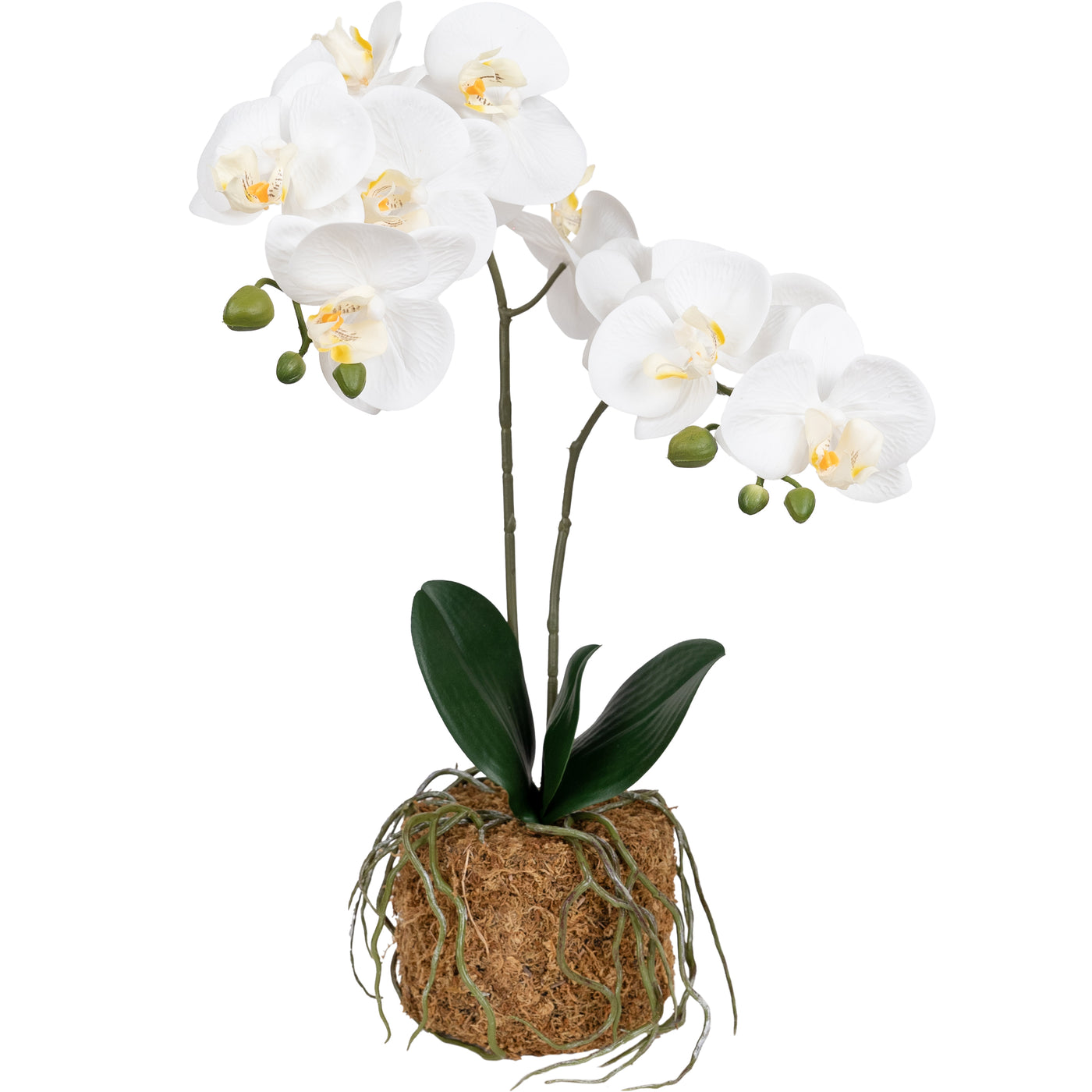 Orhidee artificiala alba cu aspect natural H53 cm cu 2 tulpini