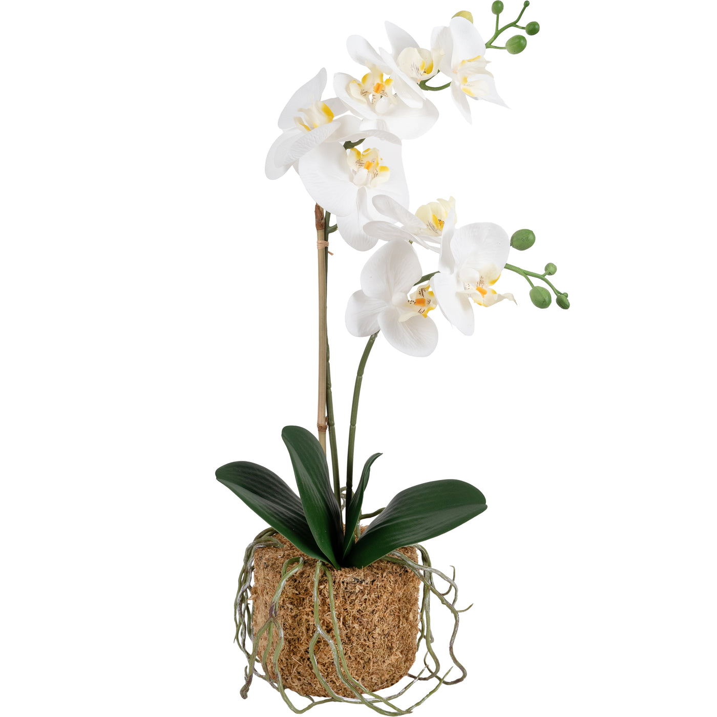 Orhidee artificiala alba cu aspect natural H53 cm cu 2 tulpini cu un bat de bambus