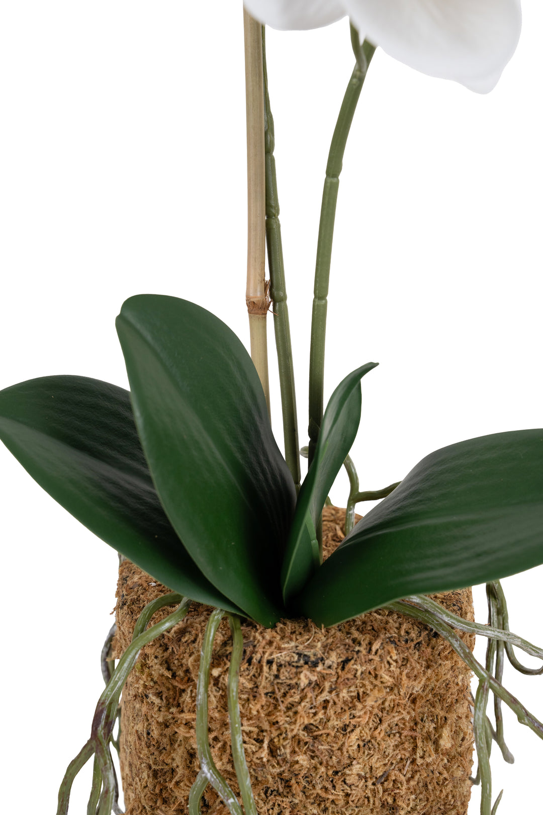 Orhidee artificiala alba cu aspect natural H53 cm cu 2 tulpini cu un b