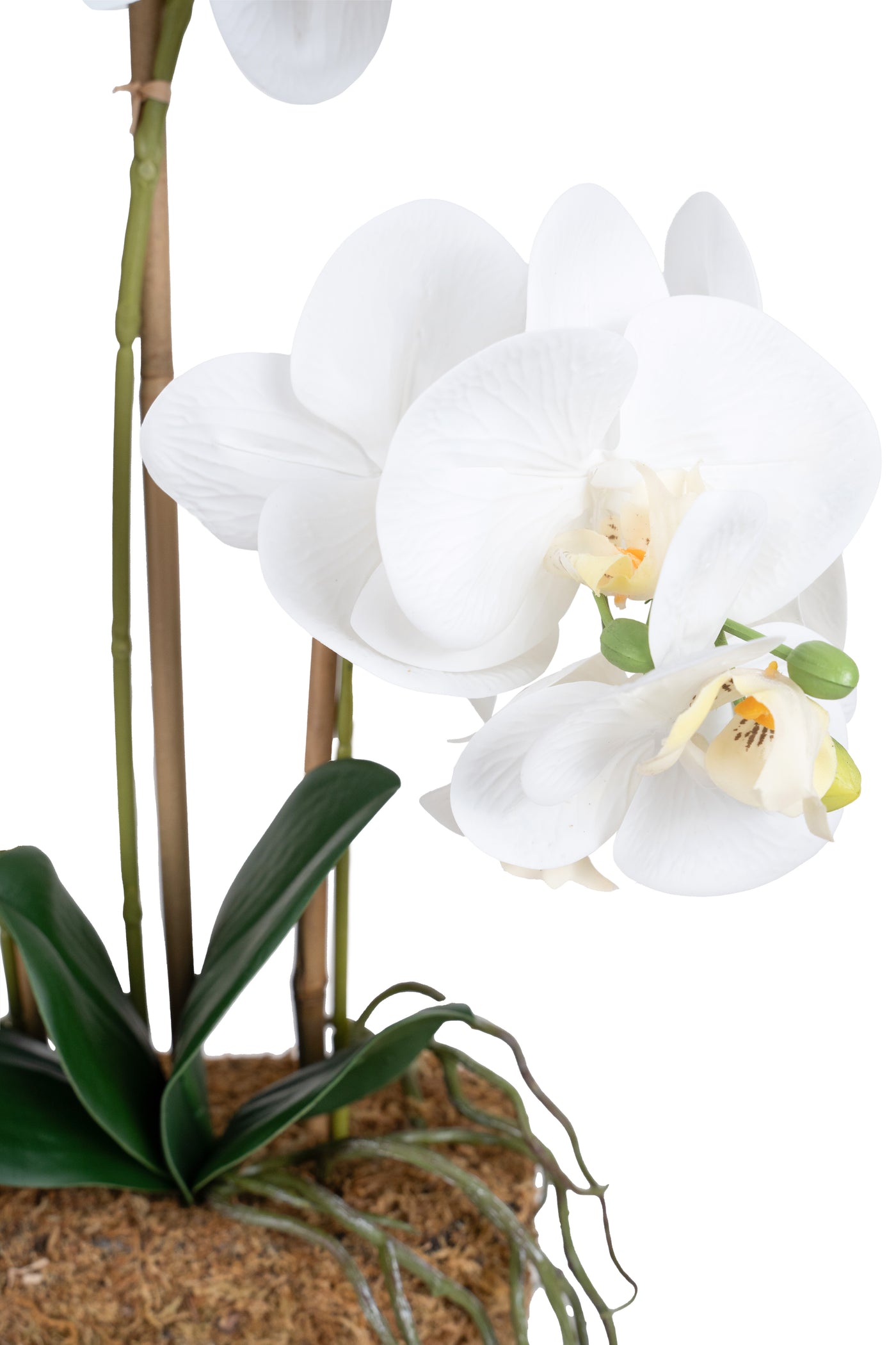 Orhidee artificiala alba cu aspect natural H54 cm cu 3 tulpini