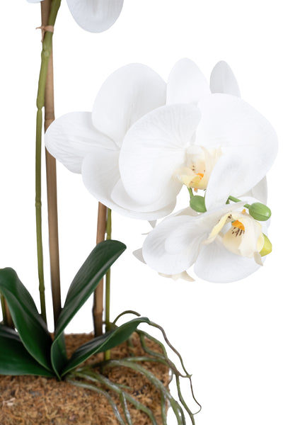 Orhidee artificiala alba cu aspect natural H54 cm cu 3 tulpini