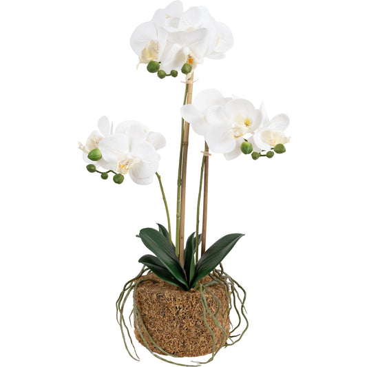 Orhidee artificiala alba cu aspect natural H54 cm cu 3 tulpini