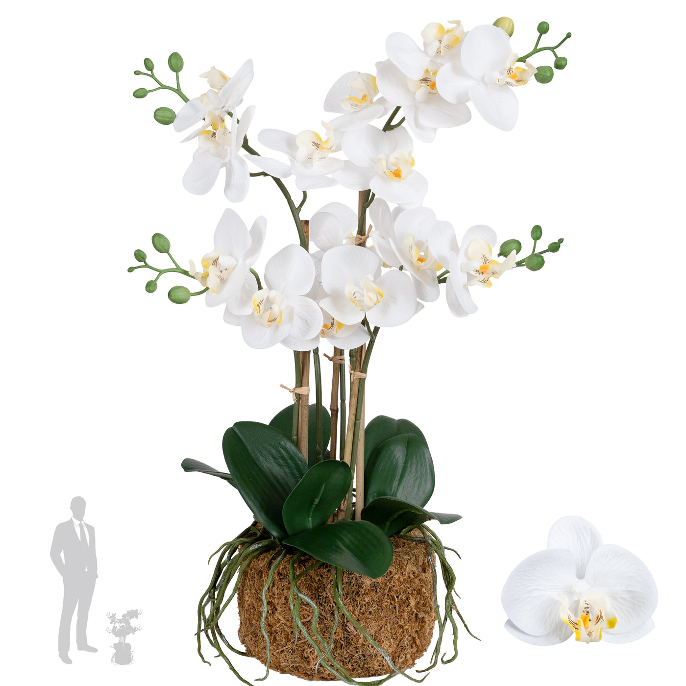 Orhidee artificiala alba cu aspect natural H54 cm cu 5 tulpini