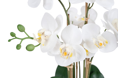 Orhidee artificiala alba cu aspect natural H54 cm cu 5 tulpini