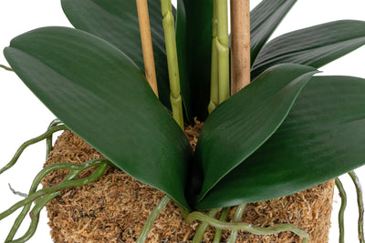 Orhidee artificiala alba cu aspect natural H55 cm cu 3 tulpini