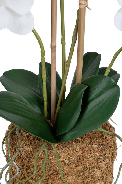 Orhidee artificiala alba cu aspect natural H55 cm cu 4 tulpini