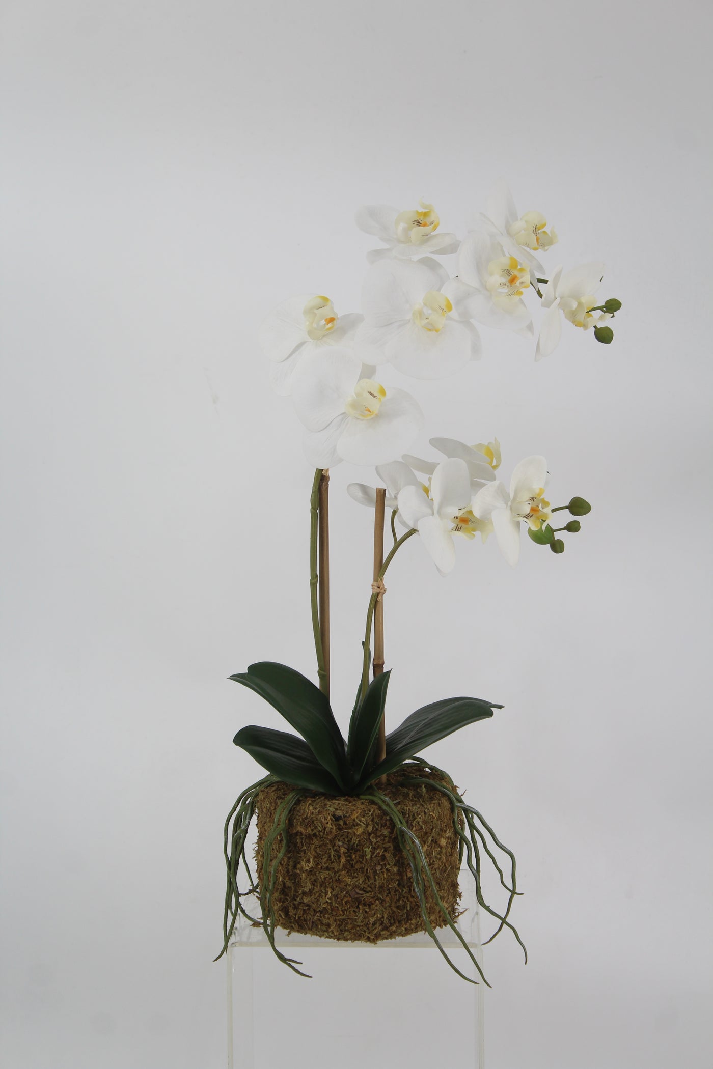 Orhidee artificiala alba cu aspect natural H56 cm cu 2 tulpini