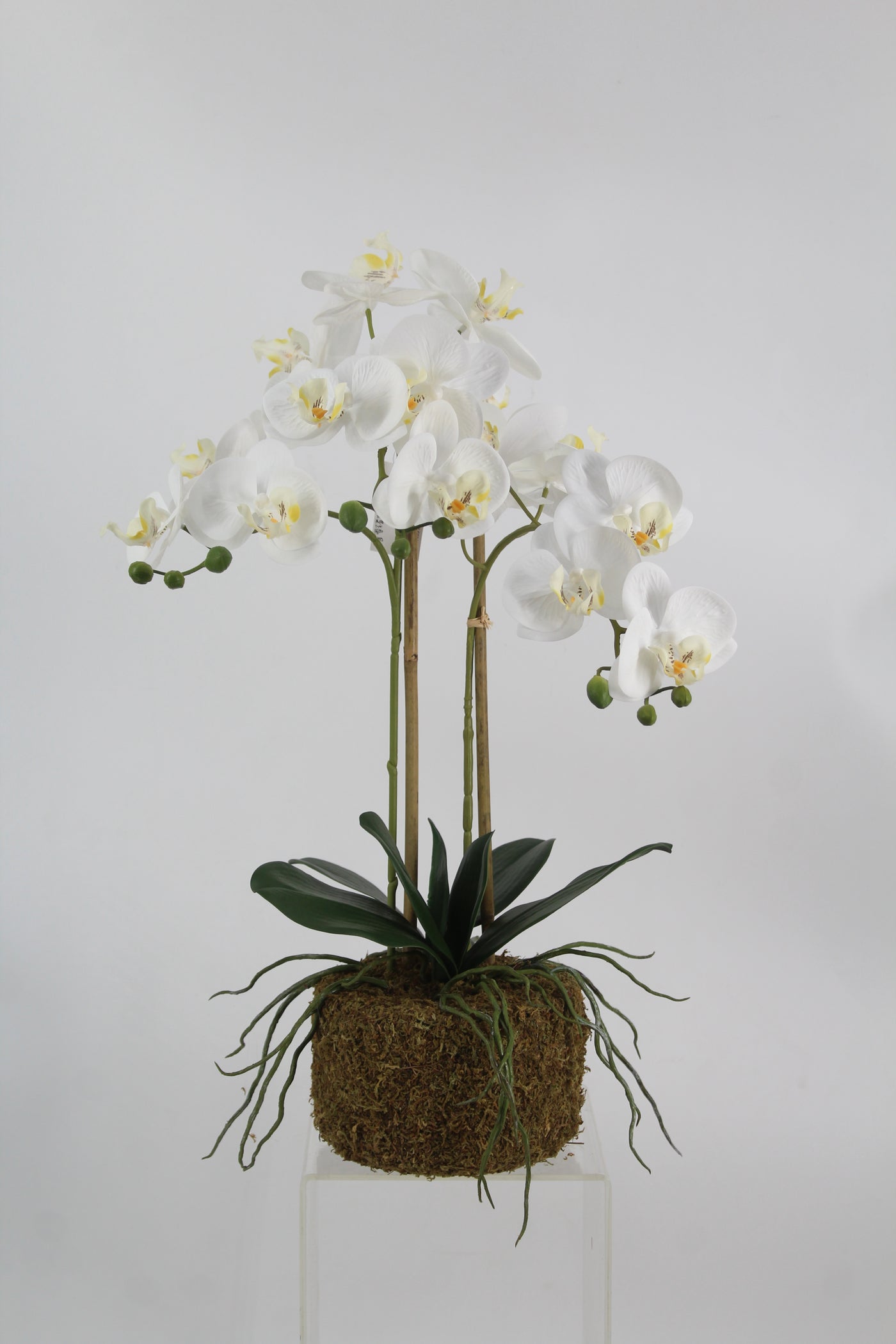 Orhidee artificiala alba cu aspect natural H56 cm cu 2 tulpini