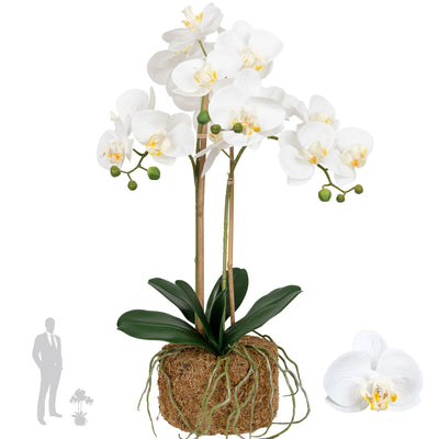 Orhidee artificiala alba cu aspect natural H56 cm cu 2 tulpini
