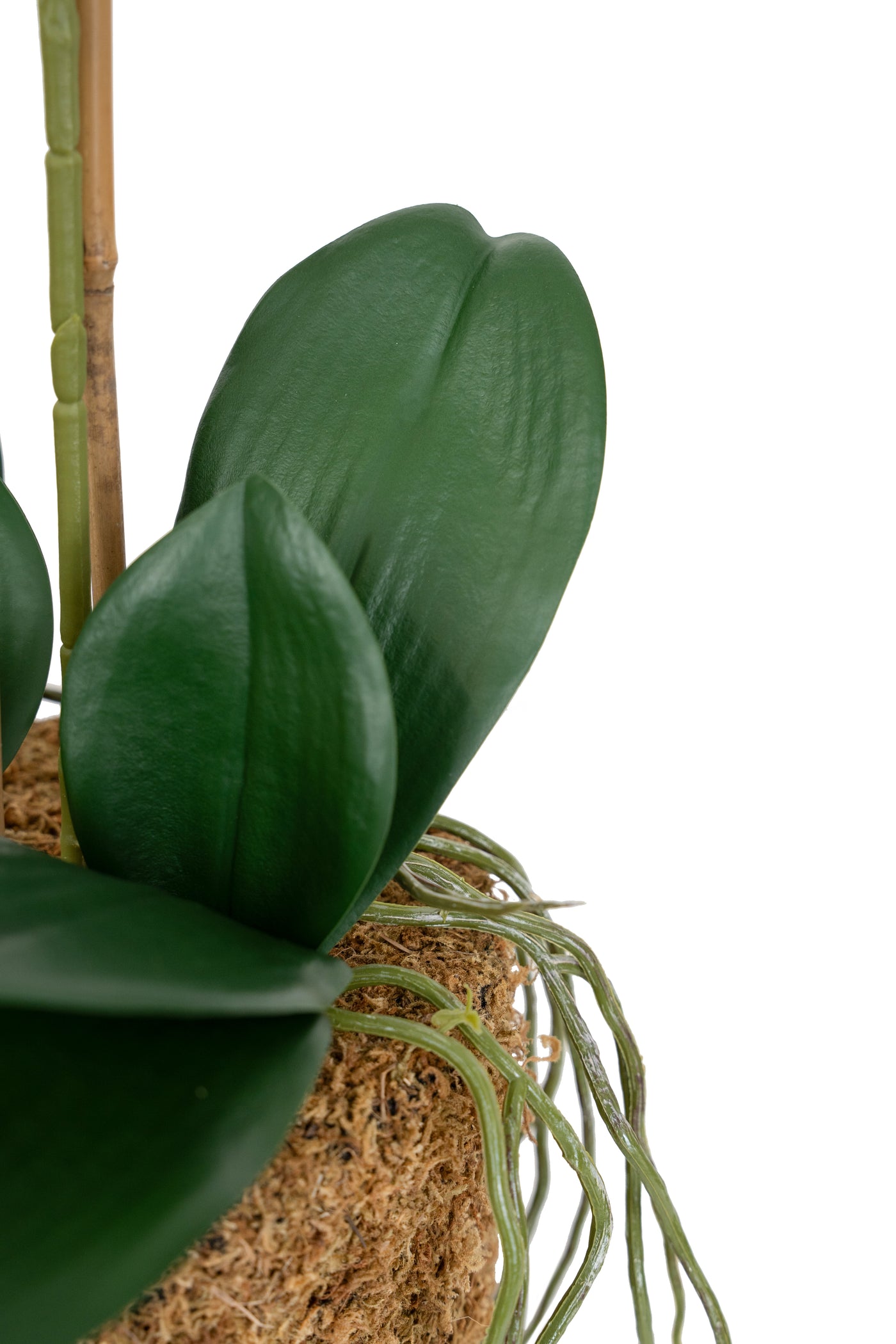 Orhidee artificiala alba cu aspect natural H56 cm cu 2 tulpini