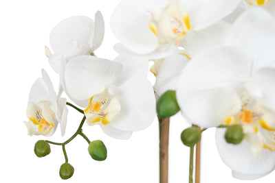 Orhidee artificiala alba cu aspect natural H56 cm cu 2 tulpini