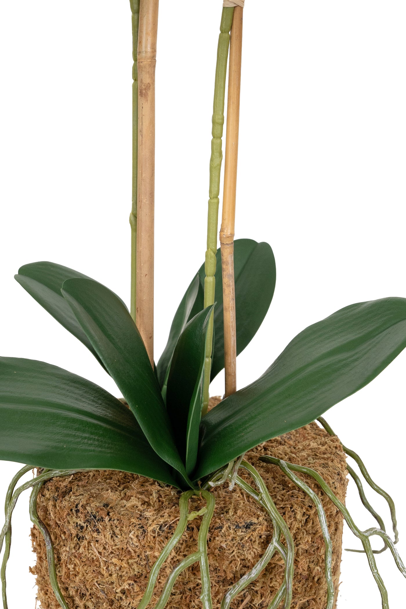 Orhidee artificiala alba cu aspect natural H56 cm cu 2 tulpini