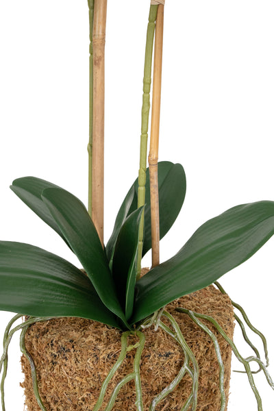 Orhidee artificiala alba cu aspect natural H56 cm cu 2 tulpini