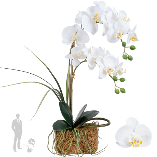 Orhidee artificiala alba cu aspect natural H58 cm cu 2 tulpini