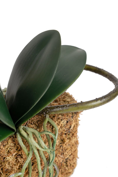Orhidee artificiala alba cu aspect natural H58 cm cu 2 tulpini