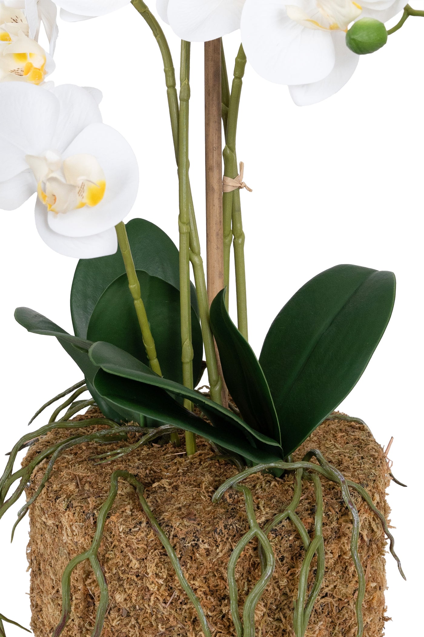 Orhidee artificiala alba cu aspect natural H59 cm cu 5 tulpini